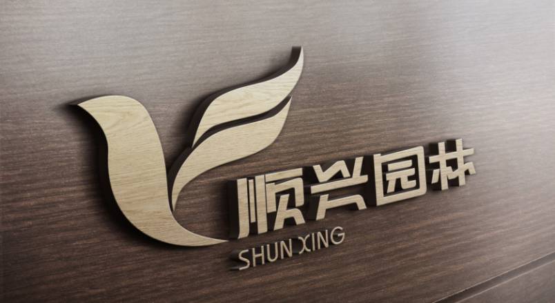 沙市区VI设计：城市品牌蝶变的核心引擎